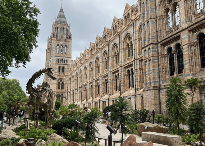 Things that can be done in London in June