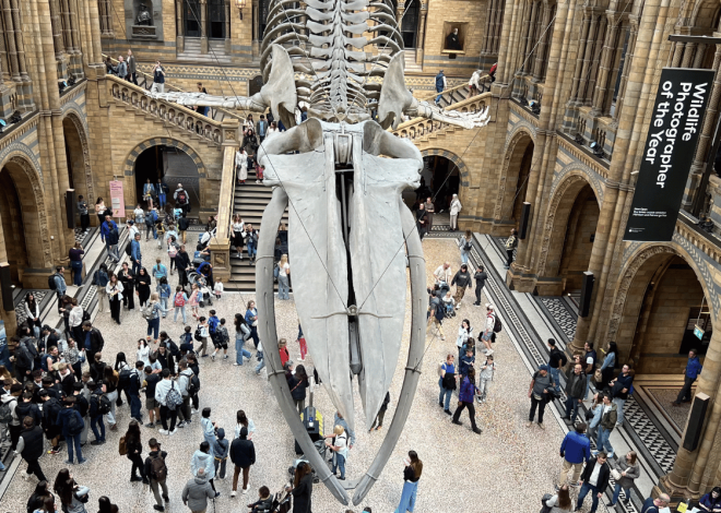 Cool things to do in London that you have to order now