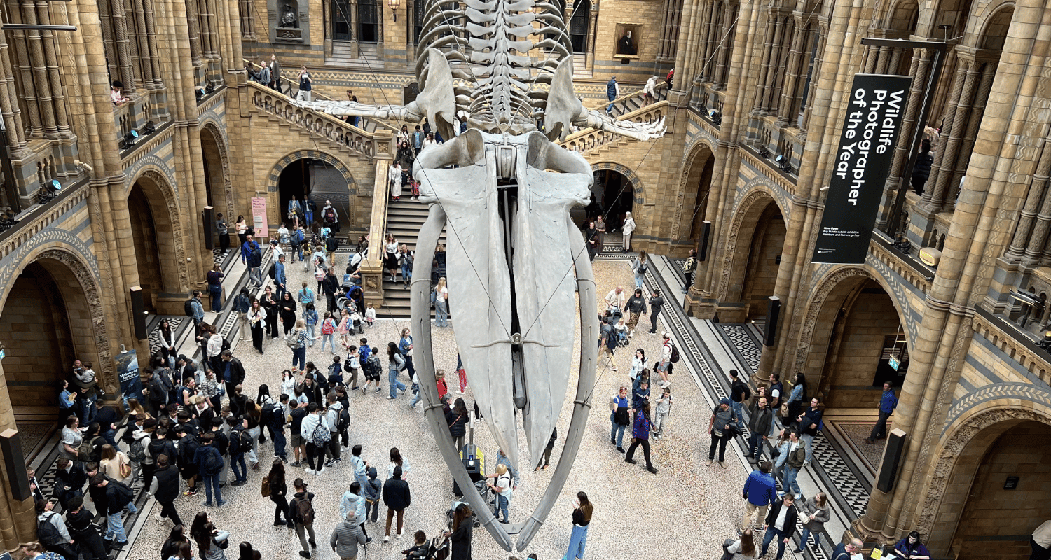 Cool things to do in London that you have to order now