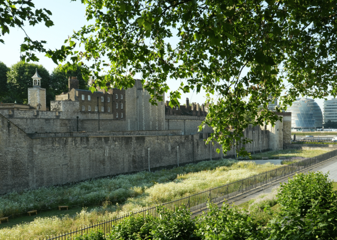 Overwhelmed by London Trip Planning? Start here.