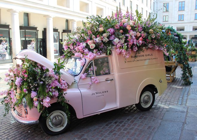 Things to Do in London in February